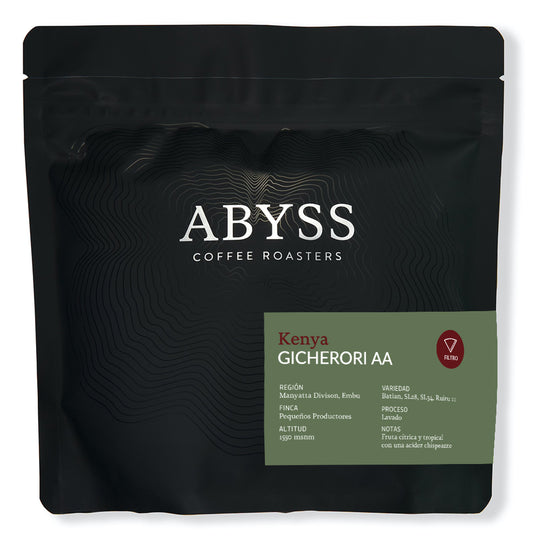 Gicherori AA Filter